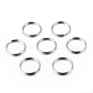 Iron Split Key Rings, Platinum, 25x2.5mm, Inner Diameter: 22mm(IFIN-C057-25mm)
