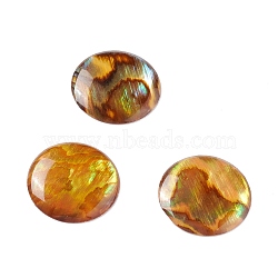 Paua Shell Cabochons, Flat Round, Dark Orange, 15x2mm(SSHEL-C008-08)