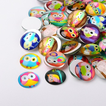 Cartoon Owl Printed Glass Half Round/Dome Cabochons, Mixed Color, 10x4mm