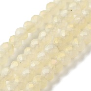 Full Rainbow Plated Faceted Rondelle Glass Beads Strands, Frosted, Champagne Yellow, 4x3mm, Hole: 1mm, about 146pcs/strand, 18.8 inch(EGLA-J054-4x3mm-FR06)