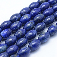 Natural Lapis Lazuli Beads Strands, Grade A, Rice, 12x8mm, Hole: 1mm, about33pcs/strand, 15.7 inch(40cm)(G-P342-08-8x12mm-A)