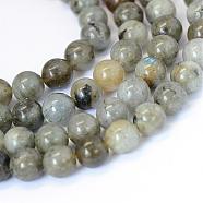 Natural Labradorite Round Bead Strands, 10~10.5mm, Hole: 1.2mm, about 36pcs/strand, 15.5 inch(G-E334-10mm-19)