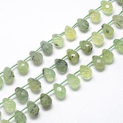 Natural Prehnite Beads Strands, Top Drilled Beads, Faceted Teardrop, 13~14x10~11mm, Hole: 1mm, about 28pcs/strand, 15.7 inch(G-R435-15J)