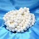 Oval Shell Pearl Bead Strands(BSHE-L013-L-A013A)-2