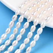 Natural Cultured Freshwater Pearl Beads Strands, Rice, Seashell Color, 5~6x4~4.5mm, Hole: 0.7~0.8mm, about 29~31pcs/strand, 7.09 inch(18cm)(PEAR-N012-04K)