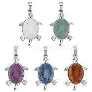 5Pcs 5 Style Natural Gemstone Pendants, Natural Rose Quartz & Green Aventurine & Lapis Lazuli & Tiger Eye & Amethyst, with Platinum Tone Brass Findings, Tortoise , 34x21x7mm, Hole: 5x7mm, 1pc/style(G-AR0004-60)