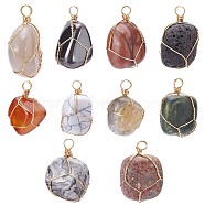 PandaHall Elite 10Pcs 10 Style Natural Mixed Gemstone Pendants, with Golden Plated Brass Wire Wrapped, Nuggets, 14~25x15~32x13~21mm, Hole: 4mm, 1pc/style(G-PH0001-68)