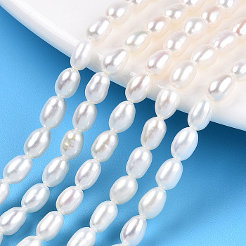 Natural Cultured Freshwater Pearl Beads Strands, Rice, Seashell Color, 5~6x4~4.5mm, Hole: 0.7~0.8mm, about 29~31pcs/strand, 7.09 inch(18cm)