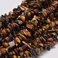 Natural Yellow Tiger Eye Chip Bead Strands, 4~12x4~7x2~5mm, Hole: 1mm, about 33.8 inch(G-L444-01)