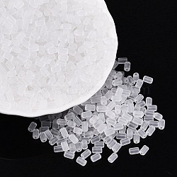 FGB Frosted Transparent Glass Seed Beads, Column, Round Hole, Dyed & Hearted, Clear, 5~6.5x3~4mm, Hole: 0.7~0.9mm, about 4500pcs/pound(SEED-N013-05A-01)