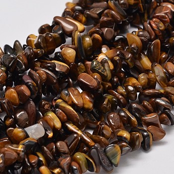 Natural Yellow Tiger Eye Chip Bead Strands, 4~12x4~7x2~5mm, Hole: 1mm, about 33.8 inch