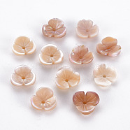 Natural Pink Shell Beads, Flower, 8x8~8.5x2.5~3mm, Hole: 1mm(SSHEL-N034-119B-01)