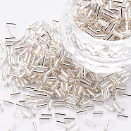 Plated Glass Bugle Beads, Metallic Colours, Floral White, 4x2mm, Hole: 1mm, about 14000pcs/Pound(SEED-S046-01A-21)