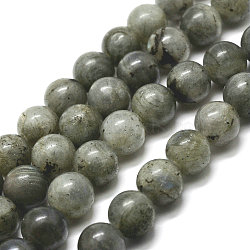 Natural Labradorite Bead Strands, Round, 8mm, Hole: 1mm, about 48pcs/strand, 15 inch(X-G-P256-01-8mm)