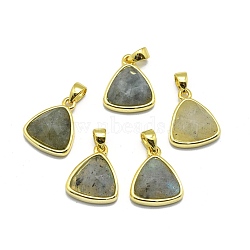 Natural Labradorite Pendants, with Golden Tone Brass Findings, Triangle, Faceted, 14x11.5x4.5mm, Hole: 2.5x3.5mm(G-O176L-05G)
