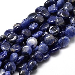 Natural Sodalite Nuggets Beads Strands, Tumbled Stone, 4~8x6~9x5~7mm, Hole: 1mm, about 15.3 inch~15.7 inch(G-J336-09)