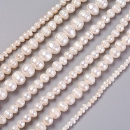 Natural Cultured Freshwater Pearl Beads Strands, Potato, White, 3~13x3~13mm, Hole: 0.5~1mm, about 24~136pcs/strand, 13 inch~16.1 inch(33~41cm)(PEAR-L021-16-01A)