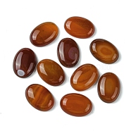 Natural Red Agate Cabochons, Dyed & Heated, Oval, Saddle Brown, 25x18x5.5mm(G-L601-03D-01)