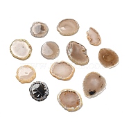 Natural Agate Home Display Decorations, Nuggets, 45~61x35~49x4.5~5.5mm(G-G986-02)