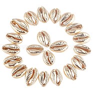 Electroplated Shell Beads, Cowrie Shells, Light Gold, 15~20x10~12x5~6mm, Hole: 12~14x2~3mm(BSHE-O017-13KCG)