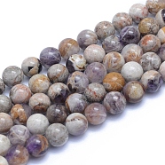 Natural Chevron Amethyst Beads Strands, Round, 8~8.5mm, Hole: 0.8mm, about 50pcs/strand, 15.55 inch(39.5cm)(X-G-L552H-06B)