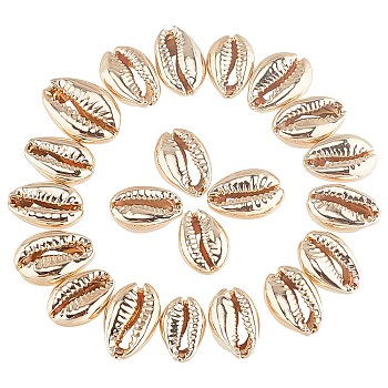Electroplated Shell Beads, Cowrie Shells, Light Gold, 15~20x10~12x5~6mm, Hole: 12~14x2~3mm