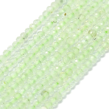 Natural Prehnite Beads Strands, Faceted, Rondelle, 2~2.5x2mm, Hole: 0.5mm, about 223~226pcs/strand, 14.96~15.16 inch(38~38.5cm)