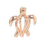 Hollow Brass Bead Cage Pendants, Sea Turtle, Cadmium Free & Nickel Free & Lead Free, Rose Gold, 19x17x10mm, Hole: 2mm(KK-K124-09RG-NR)