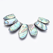 Natural Abalone Shell/Paua Shell Beads Strands, 30~48x16~21x4~5mm, Hole: 0.8mm, about 7pcs/strand, 4.92 inch(12.5cm)(SSHEL-P014-08)