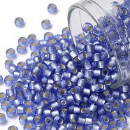 TOHO Round Seed Beads, Japanese Seed Beads, (33F) Silver Lined Frost Light Sapphire, 8/0, 3mm, Hole: 1mm, about 1110pcs/50g(SEED-XTR08-0033F)