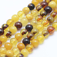 Natural Amber Beads Strands, Round, 6mm, Hole: 1mm, about 63~66pcs/strand, 15.7 inch(40cm)(G-P336-16-6mm)