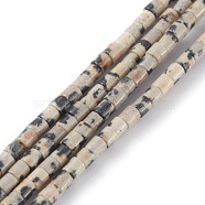 Natural Dalmatian Jasper Beads Strands, Column, 2x2mm, Hole: 0.8mm, about 154~160pcs/strand, 15.16~15.75 inch(38.5~40cm)(G-H255-10)