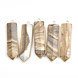 Natural Picture Jasper Big Pendants, with Brass Findings, Sword, Golden, 56~57x15~16x6.5~7.5mm, Hole: 1.8mm(G-S344-16B)