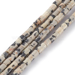Natural Dalmatian Jasper Beads Strands, Column, 2x2mm, Hole: 0.8mm, about 154~160pcs/strand, 15.16~15.75 inch(38.5~40cm)(G-H255-10)
