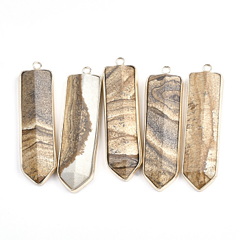 Natural Picture Jasper Big Pendants, with Brass Findings, Sword, Golden, 56~57x15~16x6.5~7.5mm, Hole: 1.8mm