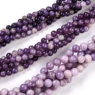 Natural Lepidolite/Purple Mica Stone Beads Strands, Round, 4.5~5mm, Hole: 0.5mm, about 86pcs/Strand, 15.35 inch(39cm)(G-K415-4mm)