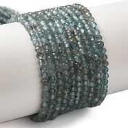 Natural Apatite Beads Strands, Faceted, Round, 2.5mm, Hole: 0.5mm, about 177pcs/strand, 15.20 inch(38.6cm)(G-C137-A01-01)