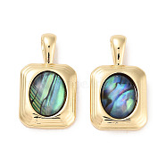 Brass Pave Natural Paua Shell Pendants, Rectangle Charms, Real 18K Gold Plated, 19.5x11x4.5mm, Hole: 2x4mm(KK-C051-53G)