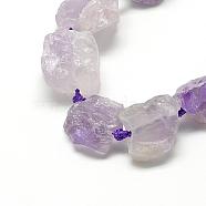 Natural Amethyst Beads Strands, Nuggets, 10~27x17~33x17~33mm, Hole: 2~2.5mm, about 12~15pcs/strand, 15.7 inch(G-R421-08)