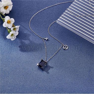 925 Sterling Silver Zircon Pendant Necklace 12 Constellation Pendant Necklace Jewelry Anniversary Birthday Gifts for Women Men(JN1088D)-4