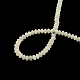 Rondelle Natural Trochid Shell/Trochus Shell Beads Strands(SSHEL-F290-29)-2