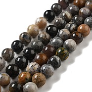 Natural Dendritic Jasper Beads Strands, Round, 10mm, Hole: 1mm, about 36~38pcs/strand, 14.17~14.96 inch(36~38cm)(G-E571-31B)