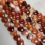 Natural Red Agate Beads Strands, Heart, 10x10mm, about 38pcs/strand(HEAR-PW0002-083-02)