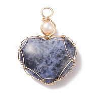 Natural Sodalite & Freshwater Pearl Pendants, with Real 18K Gold Plated Copper Wire Wrapped, Heart, 33~36.5x24.5x8.5~11.5mm, Hole: 4mm(PALLOY-JF01661-03)