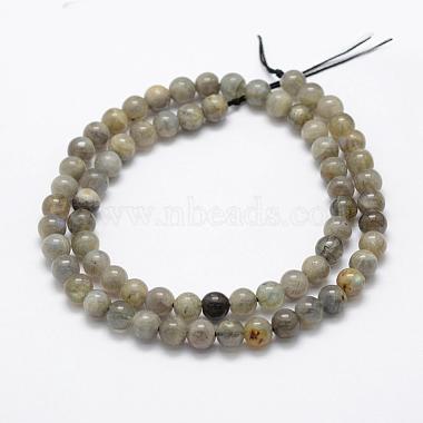 Natural Labradorite Beads Strands(G-P322-33-8mm)-2