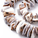 Natural Tiger Cowrie Shell Bead Strands(SSHEL-N304-103)-3