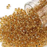TOHO Round Seed Beads, Japanese Seed Beads, (753) 24K Gold Lined Rose Gold, 8/0, 3mm, Hole: 1mm, about 220pcs/10g(X-SEED-TR08-0753)