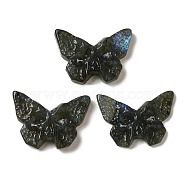 Natural Labradorite Pendants, Butterfly Charms with Engraved Skull, 25.5~26x37x7~9mm, Hole: 1.5~1.6mm(G-C091-04G)
