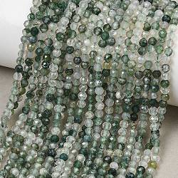 Natural Moss Agate Beads Strands, Faceted, Round, 3mm, Hole: 0.5mm, about 124pcs/strand, 15.55''(39.5cm)(G-J002-03H-A)