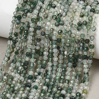 Natural Moss Agate Beads Strands, Faceted, Round, 3mm, Hole: 0.5mm, about 124pcs/strand, 15.55''(39.5cm)